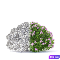 thumb image