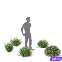thumb image