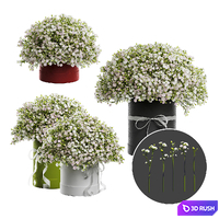 Gypsophila bouquet in a hat box