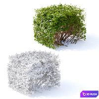 thumb image