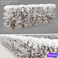 Winter hedge