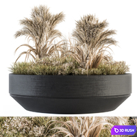 Outdoor Plants tree in Concrete Pot - Set 147