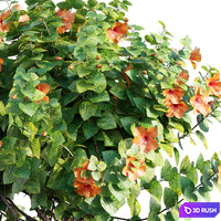 thumb image