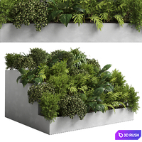 Collection outdoor plant 22 - stairs concrete vase