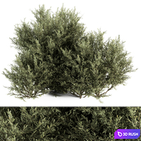 Needle Plant Bush - Bush Set 28