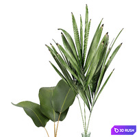 thumb image