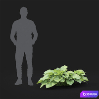 thumb image