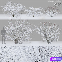 Winter bushes # 1