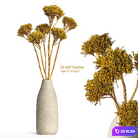 Dried Organic Bouquet Yarrow