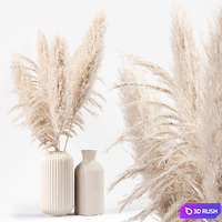 Pampas Plant 03