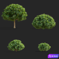 thumb image