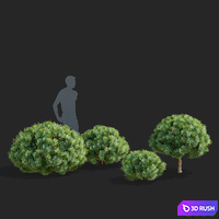 thumb image