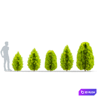thumb image