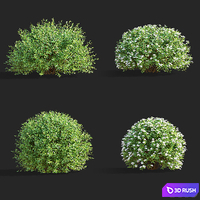 thumb image