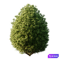 thumb image