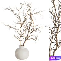 Dry branches vase Set42