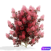thumb image