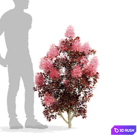 thumb image