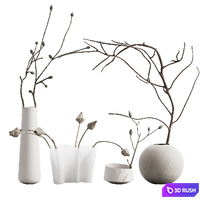 551 indoor plants 02 branches in a vases 02