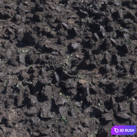 Plowed land_1
