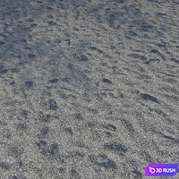 Sand Beach Gray 7