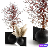 Pampas & branching tree