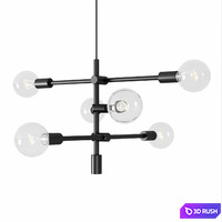 Constellation Black 6 P