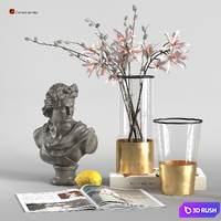 Table decor with Apollo 3D Model Vray, Corona