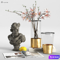 Table decor with Apollo 3D Model Vray, Corona