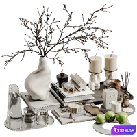 Decorative set 163 3D Model Vray, Corona
