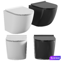 Wall hung toilet AQUAme AQM2002 3D Model Corona