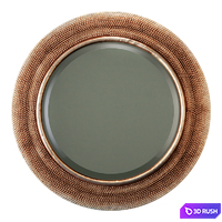 Howard Elliott Collection yukon champagne silver mirror