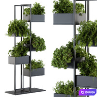 Black Box Plants on stand 03 3D Model Vray, Corona
