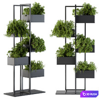 Black Box Plants on stand 03 3D Model Vray, Corona
