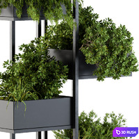 Black Box Plants on stand 03 3D Model Vray, Corona