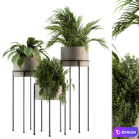 indoor Plant Set 129 - Plant Stand 3D Model Vray, Corona