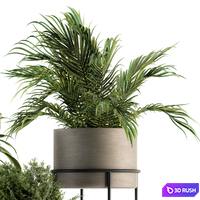 indoor Plant Set 129 - Plant Stand 3D Model Vray, Corona