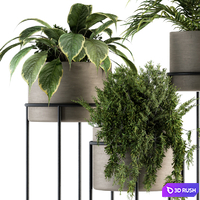 indoor Plant Set 129 - Plant Stand 3D Model Vray, Corona