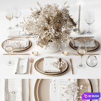 Tableware 3D Model Corona