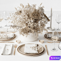 Tableware 3D Model Corona
