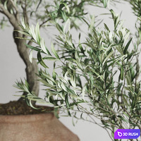 Olive European In Antique Clay Vessels 3D Model Corona