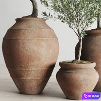 Olive European In Antique Clay Vessels 3D Model Corona