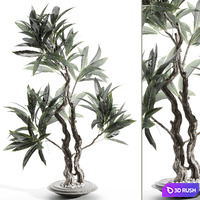 Branches in vases 86 3D Model Vray, Corona