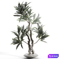 Branches in vases 86 3D Model Vray, Corona
