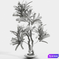 Branches in vases 86 3D Model Vray, Corona