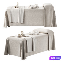 Spa Massage Table ZS01 3D Model Corona