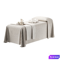Spa Massage Table ZS01 3D Model Corona