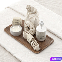 Spa Massage Table ZS01 3D Model Corona