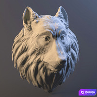 Wolf 3D Model Vray