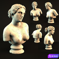 Aphrodite Bust 3D Model Vray